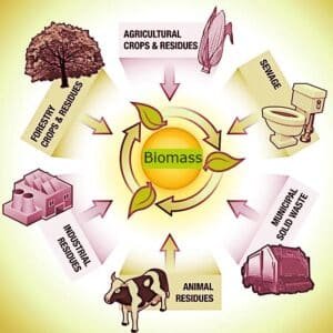 The Evolution of Biomass and Its Generations