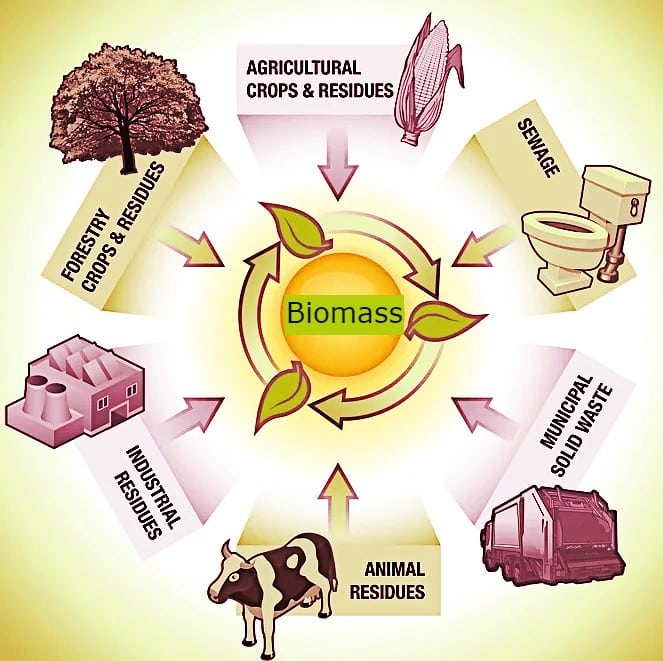 what is biomass