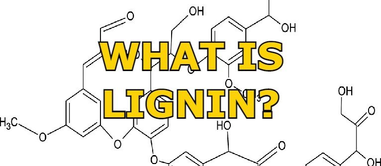 what is lignin