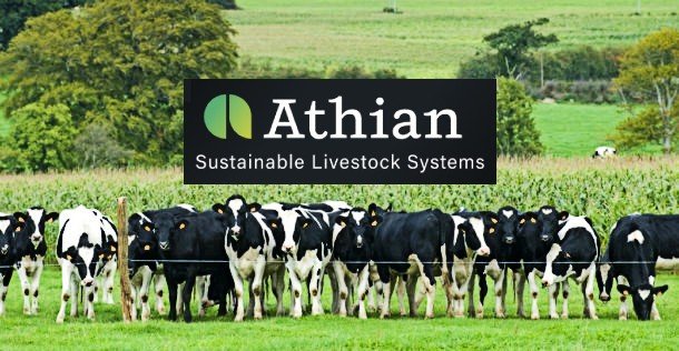 Athian livestock carbon credit marketplace