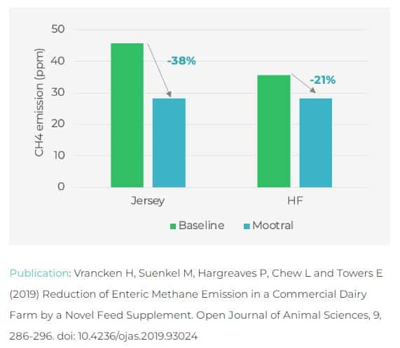 Mootral CH4 reduction in UK dairy farm