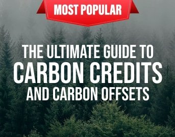 Ultimate guide to carbon credits