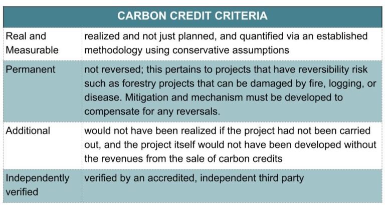 Carbon Credits: An Essential Tool In The Fight Against Climate Change