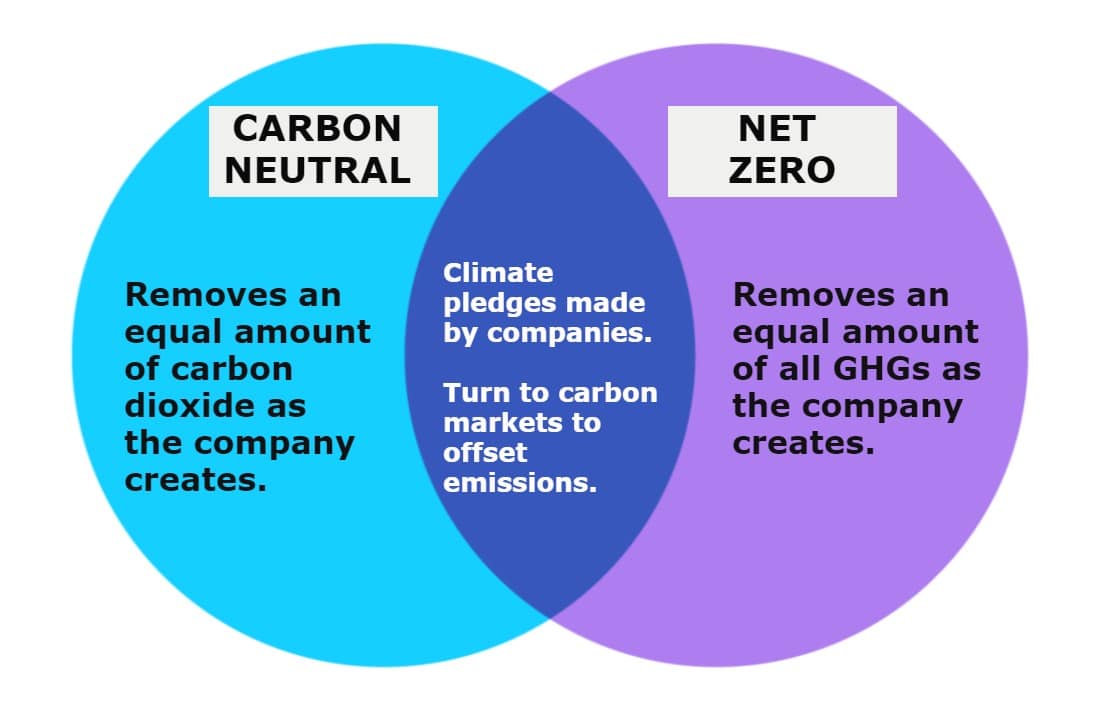 carbon-neutrality-vs-net-zero-what-s-the-difference