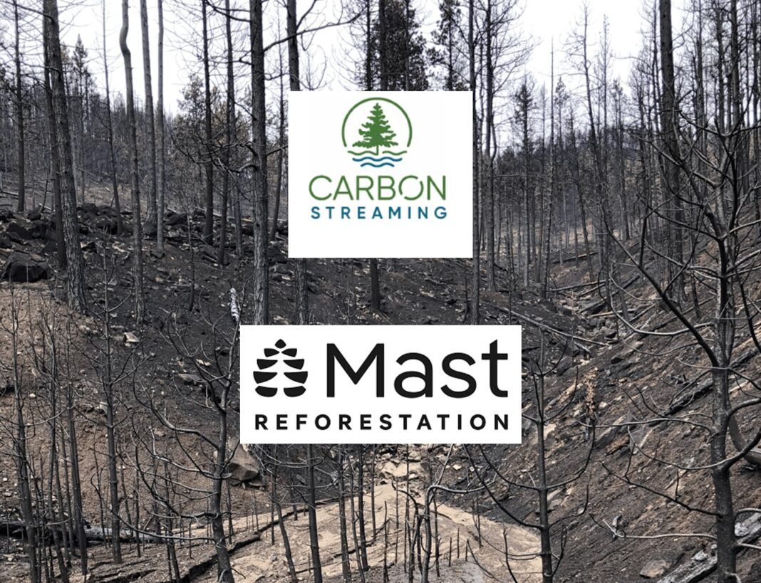 carbon streaming mast reforestation deal