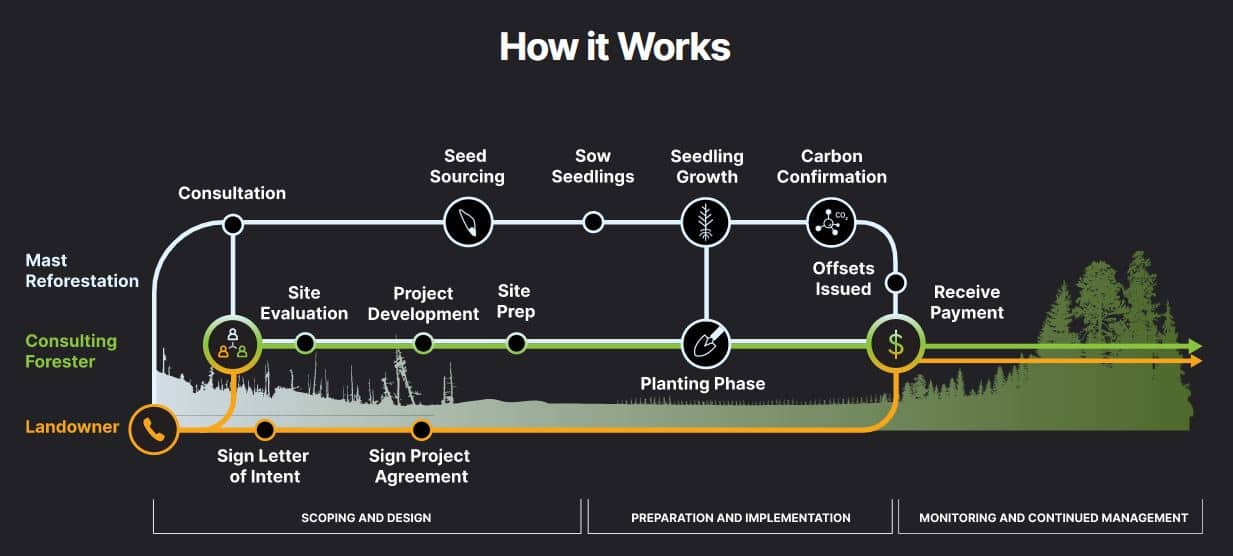 how Mast Reforestation Project works