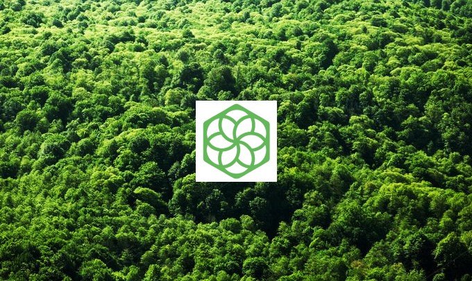 Pachama natural carbon removal credits