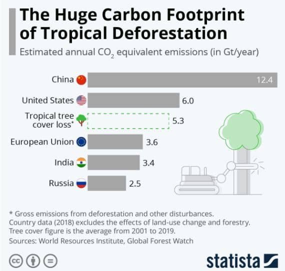 carbon footprint of tropical deforestation
