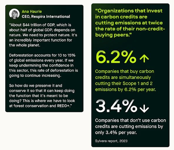 investing in carbon credits cuts emissions 2x