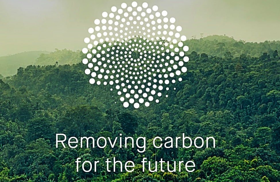 Mombak carbon removal closes $100m reforestation fund