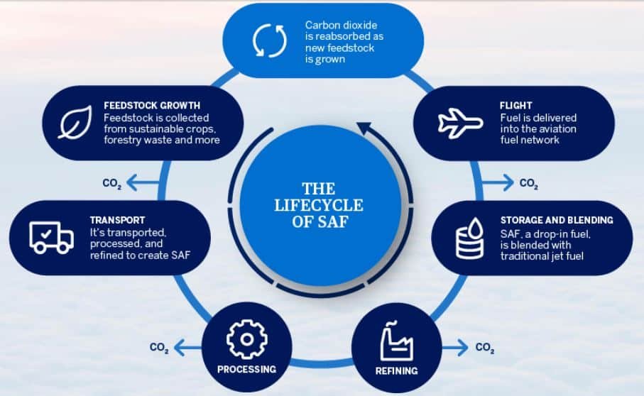 SAF lifecycle in aviation emission