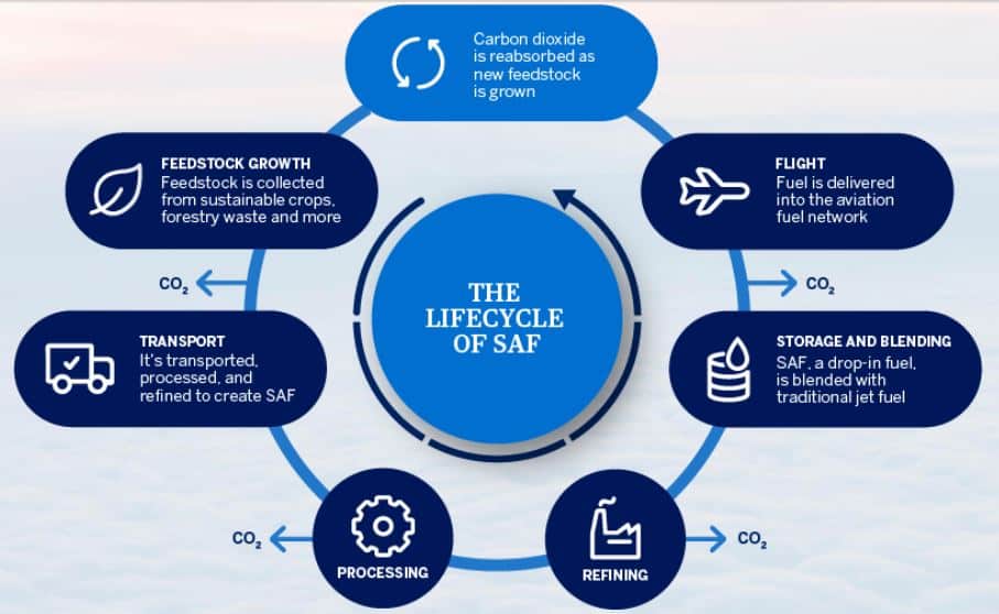 Subscription Confirmed • Carbon Credits - Page 20