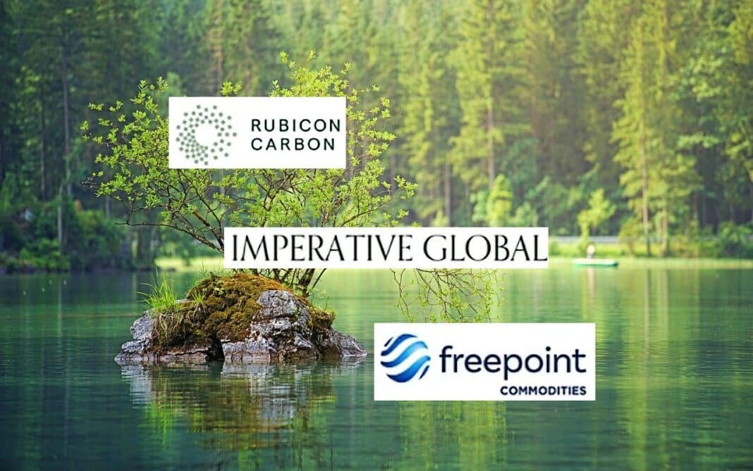 US trio companies to fund $500m nature-based carbon offset projects