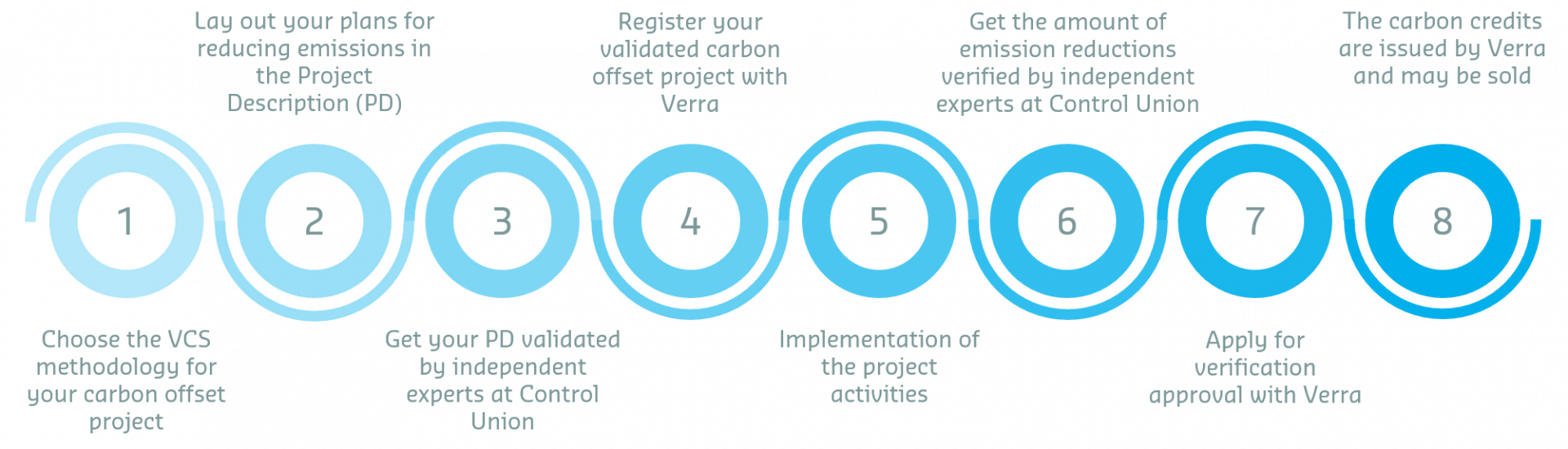 Verra VCS carbon credit certification process