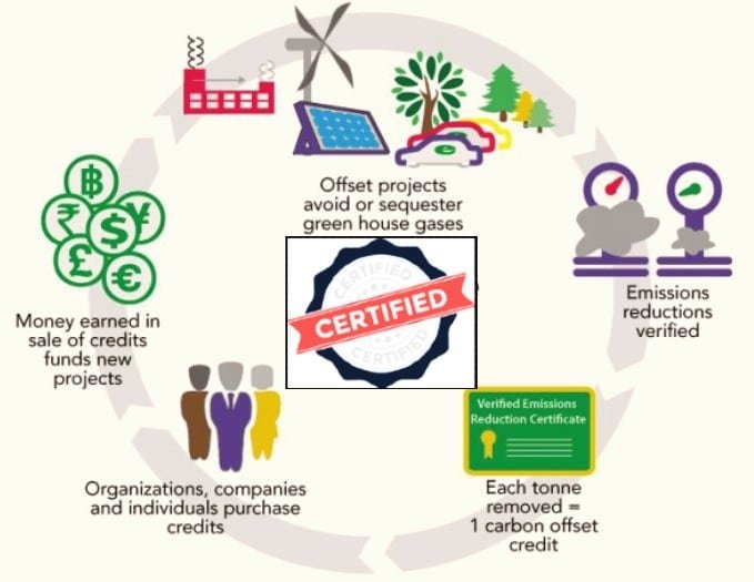 who certifies carbon credits