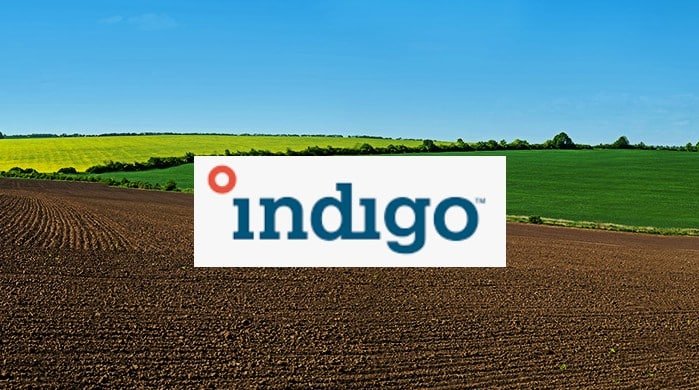 Indigo Ag raises $250M to boost ag carbon credits generation