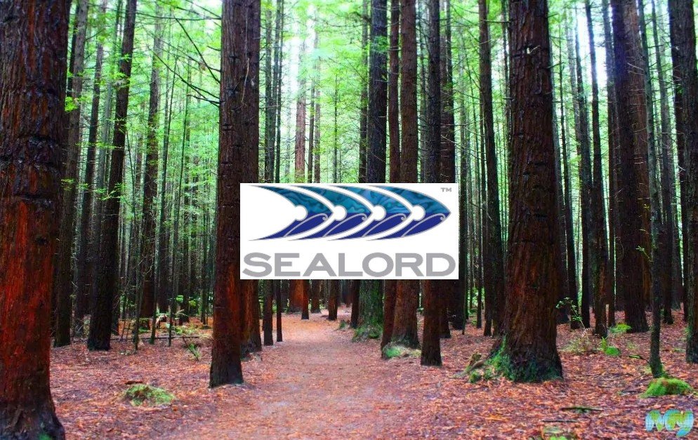 Sealord invests USD6 million in NZ forest carbon offset project