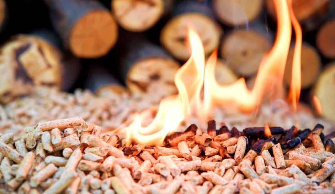 Carbon Direct buyer's guide for sustainable biomass sourcing