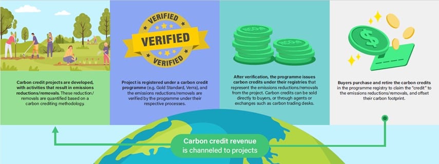 lifecycle of Singapore international carbon credits (ICCs)