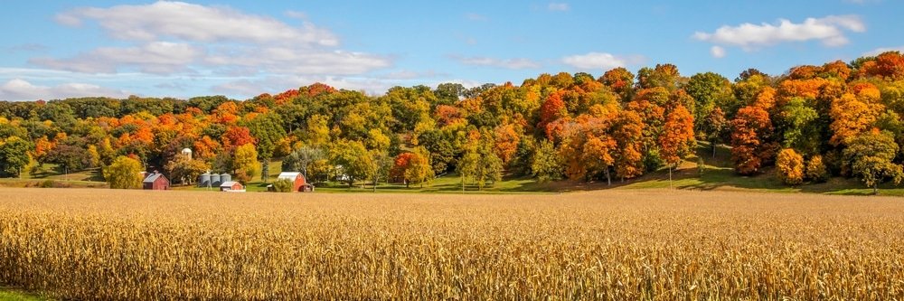 Bluesource forest carbon credit plan spurs debate on New Hampshire