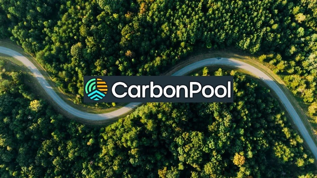 A Pioneer Carbon Credit Insurance Company Raises $12M in Seed Funding