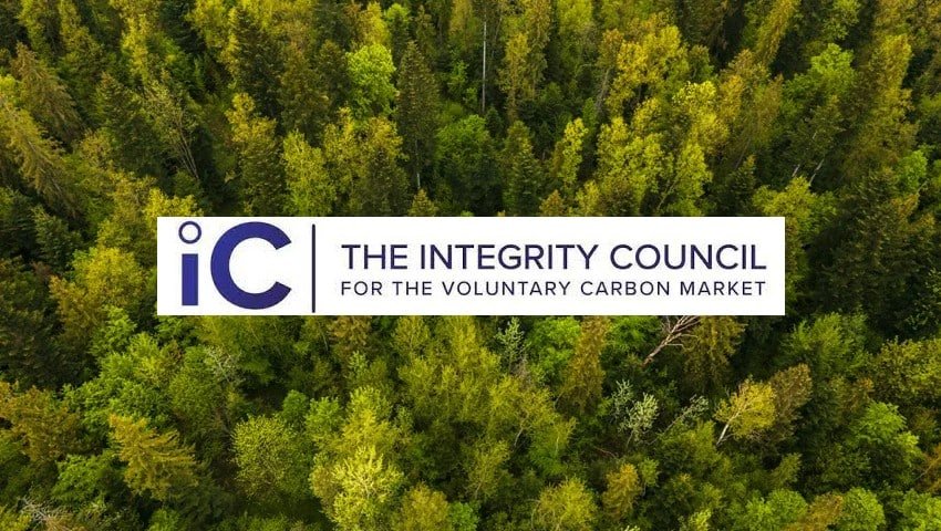 ICVCM Sets the Bar High with 100 Carbon Credit Methodologies Under Assessment