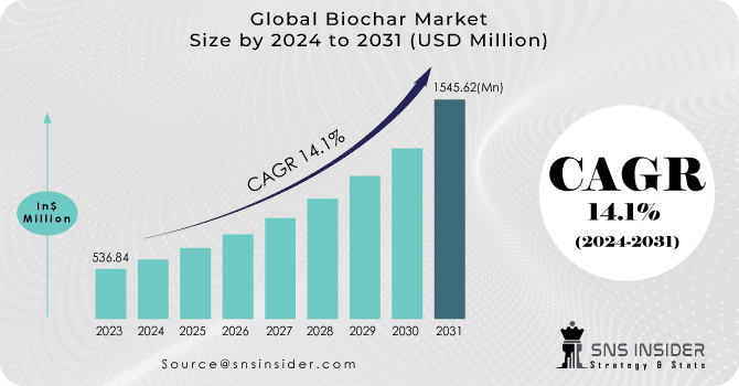 Tamanho do mercado global de biochar 2024-2031