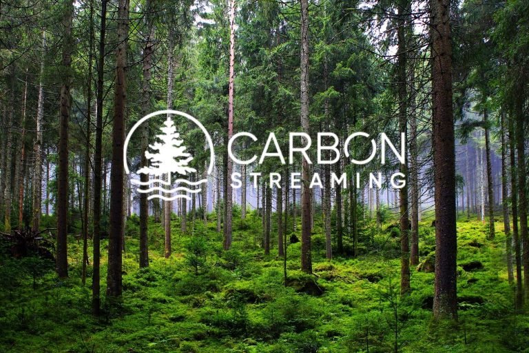 Activist Investor Marin Katusa Overhauls Carbon Streaming Leadership