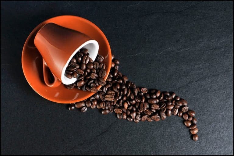 Brew Green: Nestlé Boosts Arabica Supply Chain to Lower Carbon Footprint