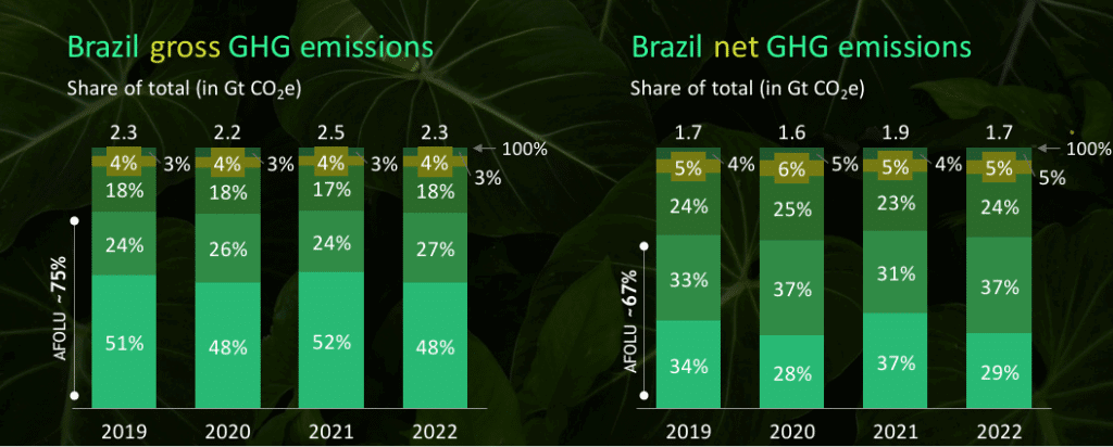 Amazon Rainforest Brazil