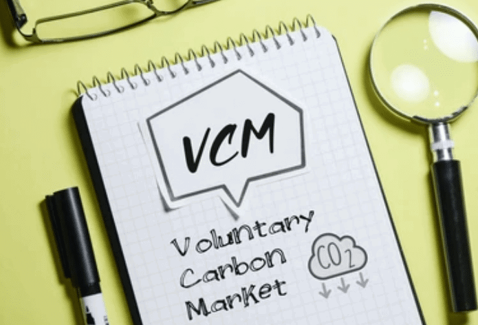 VCM Demand Surge, 147 Million Credits in 2024 Retired Amid Tightening Supply