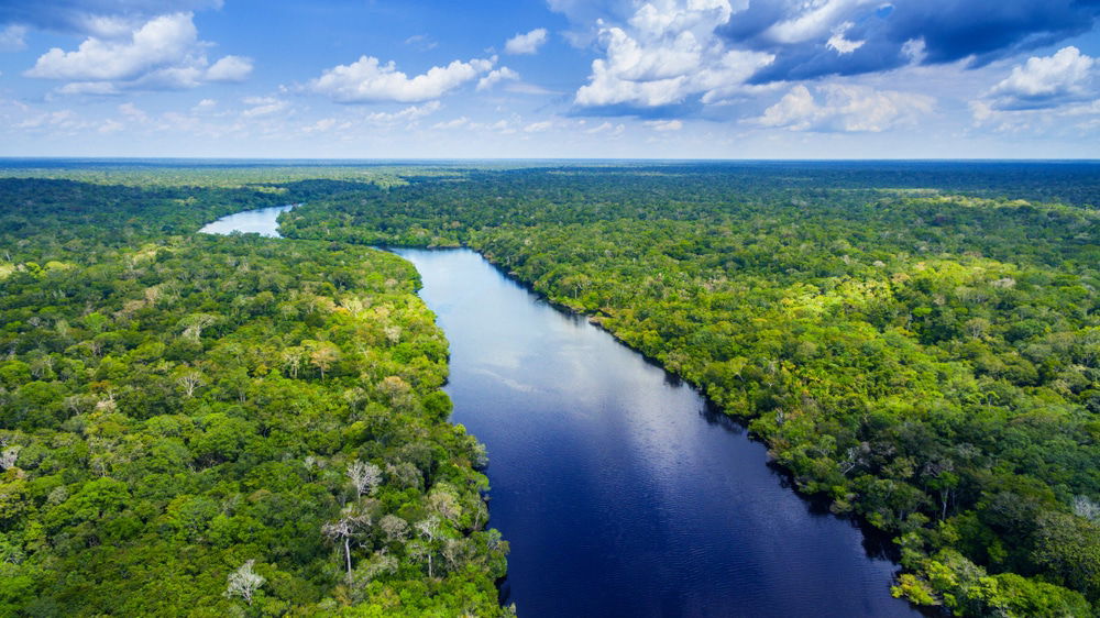 Amazonas Brazil Verra