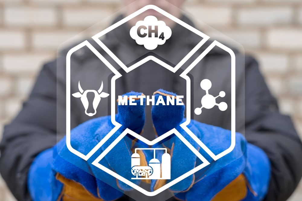 methane cop29