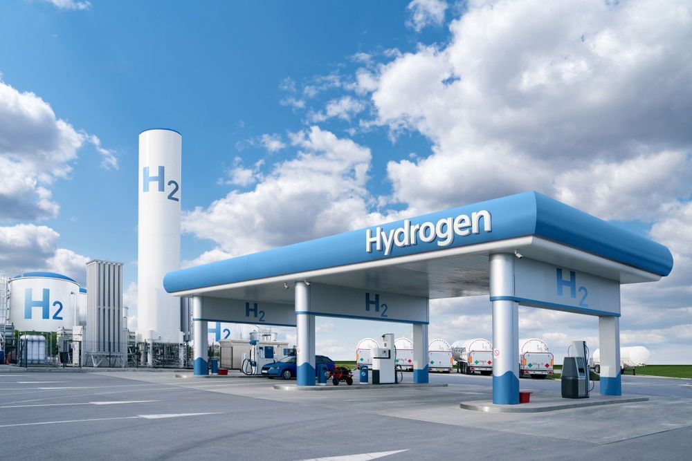 Decoding National Strategies for Green Hydrogen: Silver Bullet vs. Champagne Approach