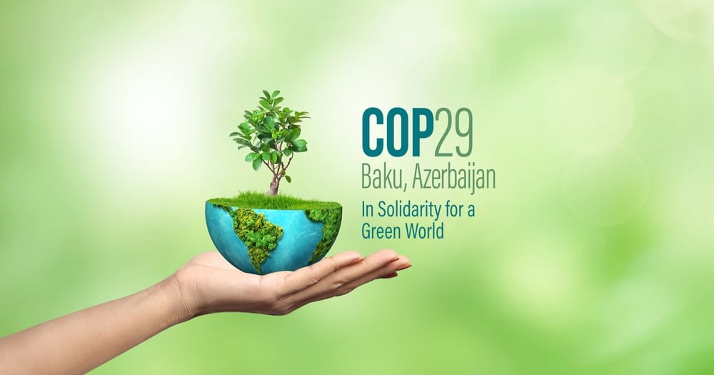 COP29 ARTICLE 6.2