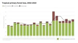 tropical primary forest loss 2002-2022